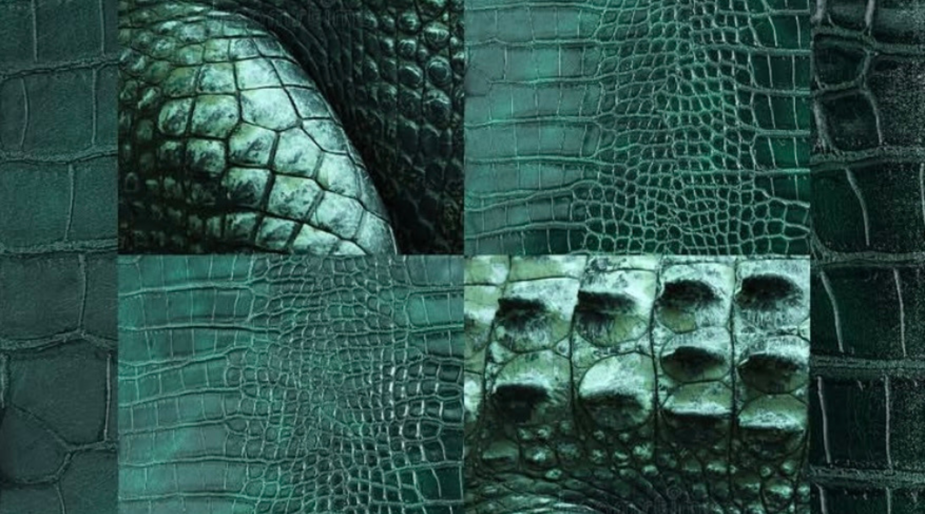 Cavicueros (Anteprima)